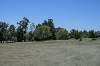 Enlarge photo 48