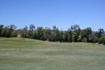 Enlarge photo 50