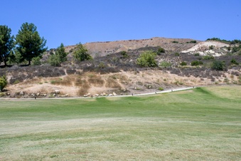 Enlarge photo 53