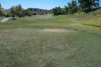 Enlarge photo 59
