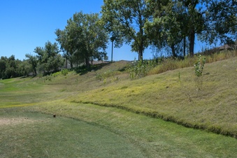 Enlarge photo 62