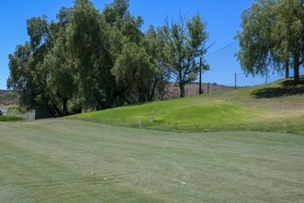 Enlarge photo 67