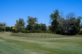 Enlarge photo 68