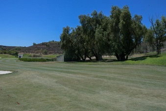 Enlarge photo 72