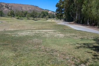 Enlarge photo 77