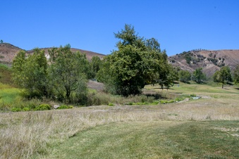 Enlarge photo 79