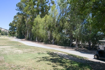Enlarge photo 80