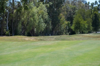 Enlarge photo 81