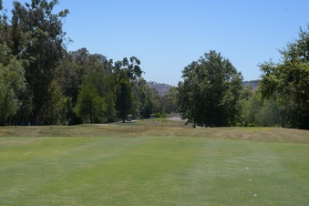 Enlarge photo 82
