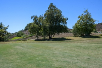 Enlarge photo 83