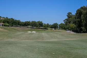 Enlarge photo 84