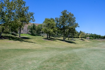 Enlarge photo 86