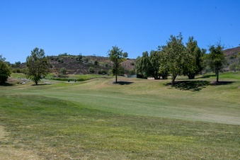 Enlarge photo 87
