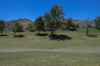 Enlarge photo 88
