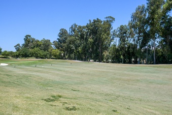 Enlarge photo 90
