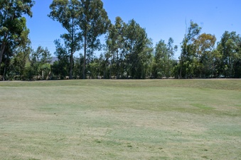 Enlarge photo 91