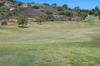Enlarge photo 98