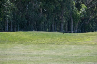 Enlarge photo 99