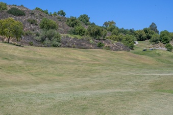 Enlarge photo 102