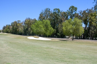 Enlarge photo 103