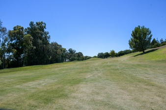 Enlarge photo 104