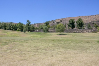 Enlarge photo 105