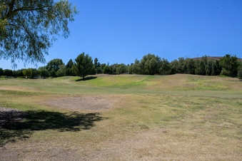 Enlarge photo 106