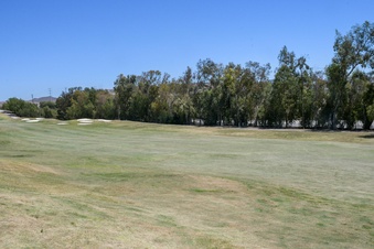 Enlarge photo 107