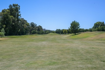 Enlarge photo 110