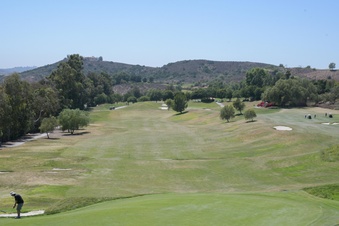 Enlarge photo 112