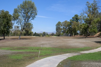 Enlarge photo 17