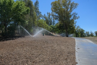 Enlarge photo 29