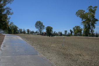 Enlarge photo 30