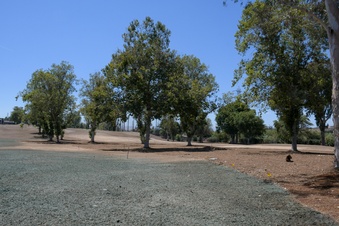 Enlarge photo 39
