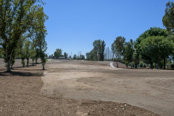 Enlarge photo 42