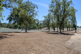 Enlarge photo 43