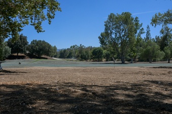 Enlarge photo 45