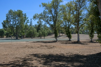 Enlarge photo 46