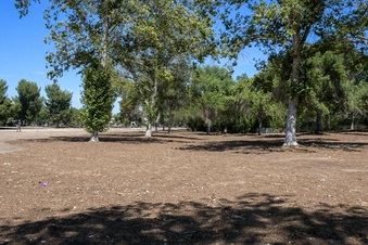 Enlarge photo 50