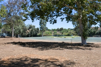 Enlarge photo 52