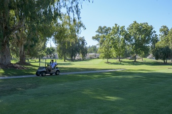 Enlarge photo 25