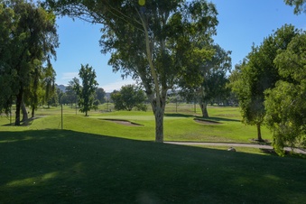 Enlarge photo 37