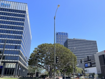 Enlarge photo 11