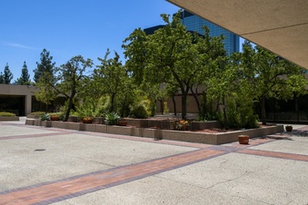 Enlarge photo 25