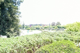 Enlarge photo 40
