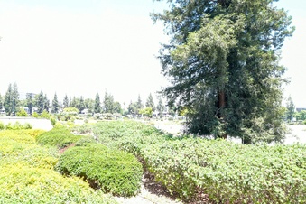 Enlarge photo 41