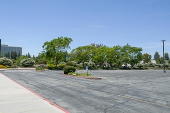 Enlarge photo 58
