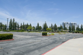 Enlarge photo 57