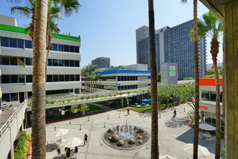 241 DTLA
