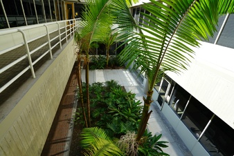 Enlarge photo 31